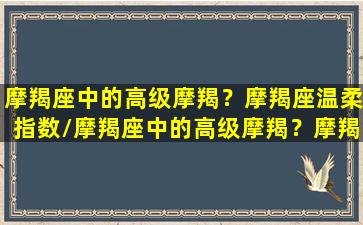 摩羯座中的高级摩羯？摩羯座温柔指数/摩羯座中的高级摩羯？摩羯座温柔指数-我的网站