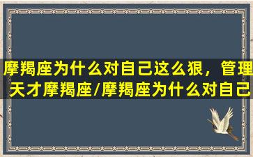 摩羯座为什么对自己这么狠，管理天才摩羯座/摩羯座为什么对自己这么狠，管理天才摩羯座-我的网站