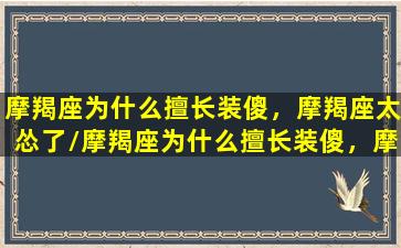 摩羯座为什么擅长装傻，摩羯座太怂了/摩羯座为什么擅长装傻，摩羯座太怂了-我的网站