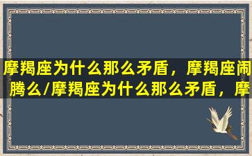 摩羯座为什么那么矛盾，摩羯座闹腾么/摩羯座为什么那么矛盾，摩羯座闹腾么-我的网站