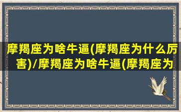 摩羯座为啥牛逼(摩羯座为什么厉害)/摩羯座为啥牛逼(摩羯座为什么厉害)-我的网站