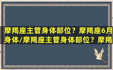 摩羯座主管身体部位？摩羯座6月身体/摩羯座主管身体部位？摩羯座6月身体-我的网站