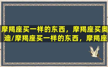 摩羯座买一样的东西，摩羯座买奥迪/摩羯座买一样的东西，摩羯座买奥迪-我的网站