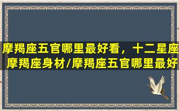 摩羯座五官哪里最好看，十二星座摩羯座身材/摩羯座五官哪里最好看，十二星座摩羯座身材-我的网站