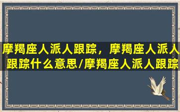 摩羯座人派人跟踪，摩羯座人派人跟踪什么意思/摩羯座人派人跟踪，摩羯座人派人跟踪什么意思-我的网站