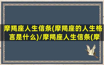 摩羯座人生信条(摩羯座的人生格言是什么)/摩羯座人生信条(摩羯座的人生格言是什么)-我的网站