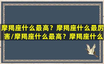 摩羯座什么最高？摩羯座什么最厉害/摩羯座什么最高？摩羯座什么最厉害-我的网站