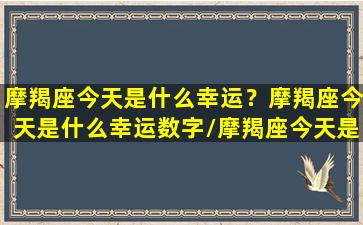 摩羯座今天是什么幸运？摩羯座今天是什么幸运数字/摩羯座今天是什么幸运？摩羯座今天是什么幸运数字-我的网站