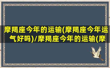 摩羯座今年的运输(摩羯座今年运气好吗)/摩羯座今年的运输(摩羯座今年运气好吗)-我的网站