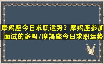 摩羯座今日求职运势？摩羯座参加面试的多吗/摩羯座今日求职运势？摩羯座参加面试的多吗-我的网站