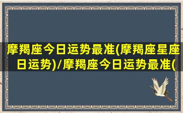 摩羯座今日运势最准(摩羯座星座日运势)/摩羯座今日运势最准(摩羯座星座日运势)-我的网站