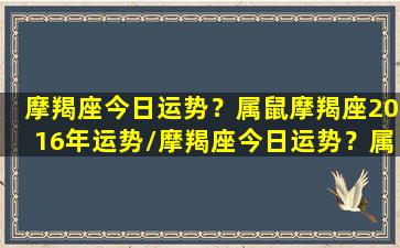 摩羯座今日运势？属鼠摩羯座2016年运势/摩羯座今日运势？属鼠摩羯座2016年运势-我的网站