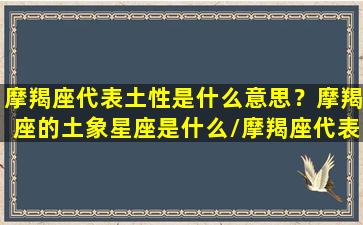 摩羯座代表土性是什么意思？摩羯座的土象星座是什么/摩羯座代表土性是什么意思？摩羯座的土象星座是什么-我的网站