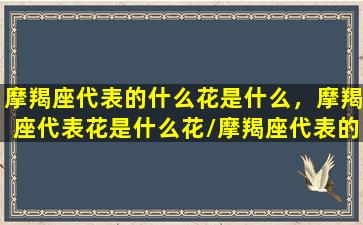 摩羯座代表的什么花是什么，摩羯座代表花是什么花/摩羯座代表的什么花是什么，摩羯座代表花是什么花-我的网站