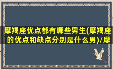 摩羯座优点都有哪些男生(摩羯座的优点和缺点分别是什么男)/摩羯座优点都有哪些男生(摩羯座的优点和缺点分别是什么男)-我的网站