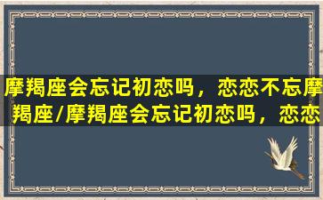 摩羯座会忘记初恋吗，恋恋不忘摩羯座/摩羯座会忘记初恋吗，恋恋不忘摩羯座-我的网站