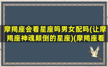 摩羯座会看星座吗男女配吗(让摩羯座神魂颠倒的星座)(摩羯座看重颜值吗)