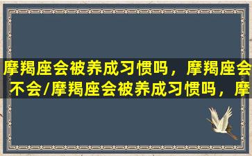 摩羯座会被养成习惯吗，摩羯座会不会/摩羯座会被养成习惯吗，摩羯座会不会-我的网站