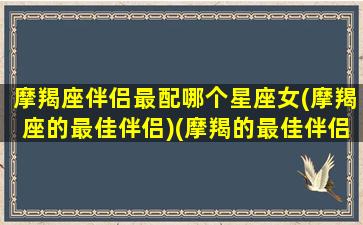 摩羯座伴侣最配哪个星座女(摩羯座的最佳伴侣)(摩羯的最佳伴侣是什么)