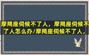 摩羯座伺候不了人，摩羯座伺候不了人怎么办/摩羯座伺候不了人，摩羯座伺候不了人怎么办-我的网站