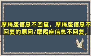 摩羯座信息不回复，摩羯座信息不回复的原因/摩羯座信息不回复，摩羯座信息不回复的原因-我的网站