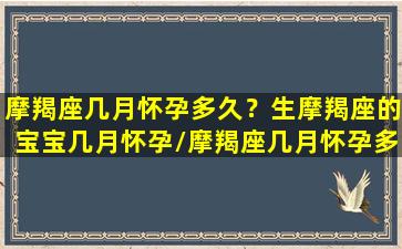 摩羯座几月怀孕多久？生摩羯座的宝宝几月怀孕/摩羯座几月怀孕多久？生摩羯座的宝宝几月怀孕-我的网站