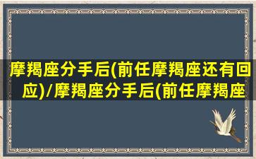 摩羯座分手后(前任摩羯座还有回应)/摩羯座分手后(前任摩羯座还有回应)-我的网站