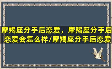 摩羯座分手后恋爱，摩羯座分手后恋爱会怎么样/摩羯座分手后恋爱，摩羯座分手后恋爱会怎么样-我的网站