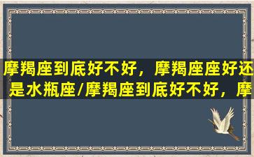 摩羯座到底好不好，摩羯座座好还是水瓶座/摩羯座到底好不好，摩羯座座好还是水瓶座-我的网站