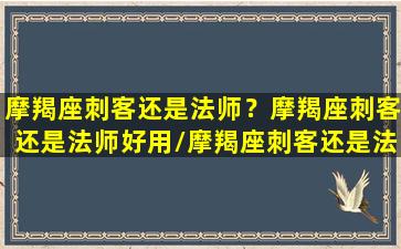 摩羯座刺客还是法师？摩羯座刺客还是法师好用/摩羯座刺客还是法师？摩羯座刺客还是法师好用-我的网站