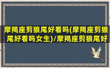 摩羯座剪狼尾好看吗(摩羯座剪狼尾好看吗女生)/摩羯座剪狼尾好看吗(摩羯座剪狼尾好看吗女生)-我的网站