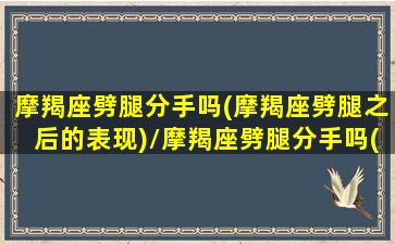 摩羯座劈腿分手吗(摩羯座劈腿之后的表现)/摩羯座劈腿分手吗(摩羯座劈腿之后的表现)-我的网站