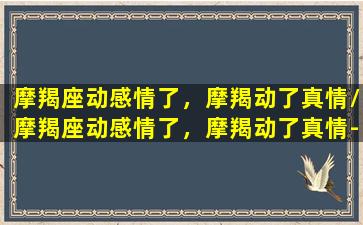 摩羯座动感情了，摩羯动了真情/摩羯座动感情了，摩羯动了真情-我的网站