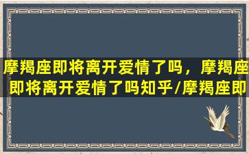 摩羯座即将离开爱情了吗，摩羯座即将离开爱情了吗知乎/摩羯座即将离开爱情了吗，摩羯座即将离开爱情了吗知乎-我的网站