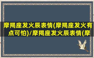 摩羯座发火辰表情(摩羯座发火有点可怕)/摩羯座发火辰表情(摩羯座发火有点可怕)-我的网站