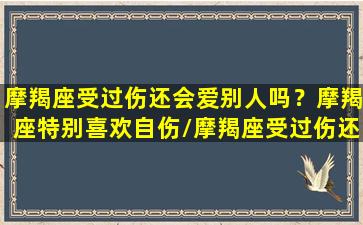 摩羯座受过伤还会爱别人吗？摩羯座特别喜欢自伤/摩羯座受过伤还会爱别人吗？摩羯座特别喜欢自伤-我的网站