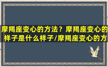 摩羯座变心的方法？摩羯座变心的样子是什么样子/摩羯座变心的方法？摩羯座变心的样子是什么样子-我的网站