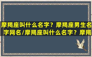 摩羯座叫什么名字？摩羯座男生名字网名/摩羯座叫什么名字？摩羯座男生名字网名-我的网站