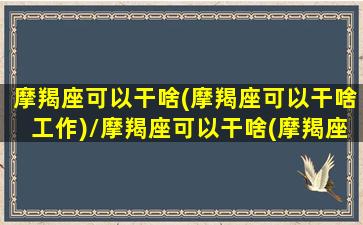 摩羯座可以干啥(摩羯座可以干啥工作)/摩羯座可以干啥(摩羯座可以干啥工作)-我的网站