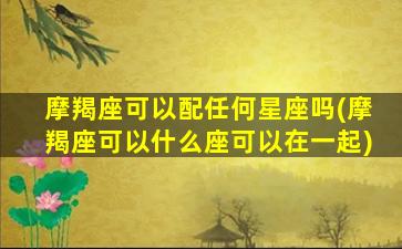 摩羯座可以配任何星座吗(摩羯座可以什么座可以在一起)