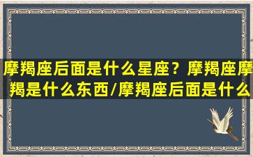 摩羯座后面是什么星座？摩羯座摩羯是什么东西/摩羯座后面是什么星座？摩羯座摩羯是什么东西-我的网站