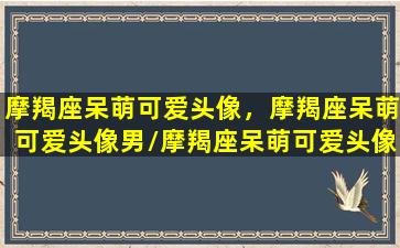 摩羯座呆萌可爱头像，摩羯座呆萌可爱头像男/摩羯座呆萌可爱头像，摩羯座呆萌可爱头像男-我的网站