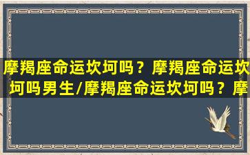 摩羯座命运坎坷吗？摩羯座命运坎坷吗男生/摩羯座命运坎坷吗？摩羯座命运坎坷吗男生-我的网站