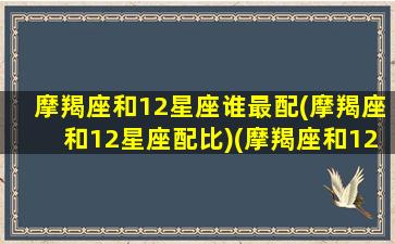 摩羯座和12星座谁最配(摩羯座和12星座配比)(摩羯座和12星座的匹配程度)