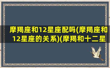 摩羯座和12星座配吗(摩羯座和12星座的关系)(摩羯和十二星座)