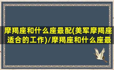 摩羯座和什么座最配(美军摩羯座适合的工作)/摩羯座和什么座最配(美军摩羯座适合的工作)-我的网站