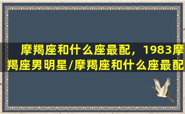 摩羯座和什么座最配，1983摩羯座男明星/摩羯座和什么座最配，1983摩羯座男明星-我的网站