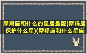 摩羯座和什么的星座最配(摩羯座保护什么星)(摩羯座和什么星座配对最好)