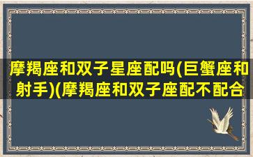 摩羯座和双子星座配吗(巨蟹座和射手)(摩羯座和双子座配不配合)