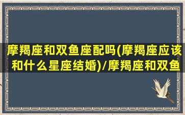 摩羯座和双鱼座配吗(摩羯座应该和什么星座结婚)/摩羯座和双鱼座配吗(摩羯座应该和什么星座结婚)-我的网站